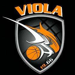 A2 - Viola Basket Reggio Calabria: esiti della risonanza magnetica di Patrick Baldassarre