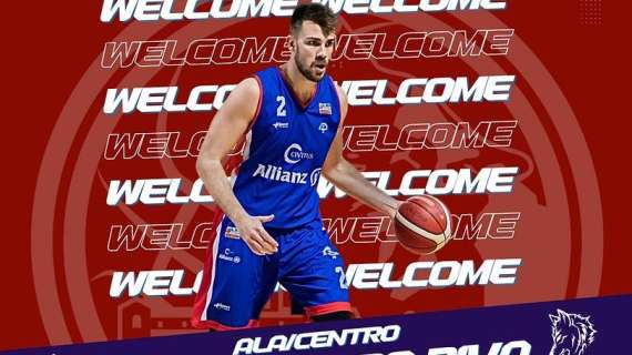 Serie B - Alessandro Riva completa il roster della BPC Cassino