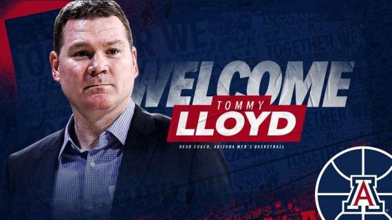 NCAA - Arizona, Tommy Lloyd è il nuovo allenatore