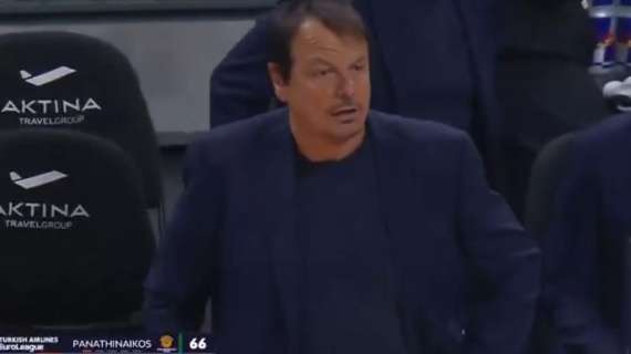Ergin Ataman sarà alla Sunel Arena di Atene per le F4 di Champions League