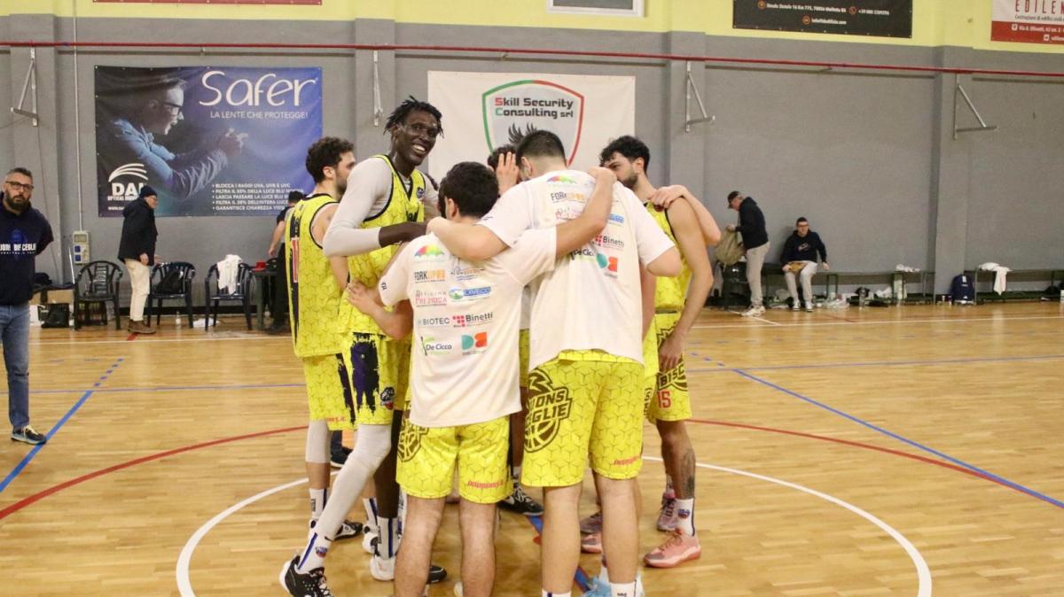 Serie B - I Lions Bisceglie continuano a far corsa di vertice