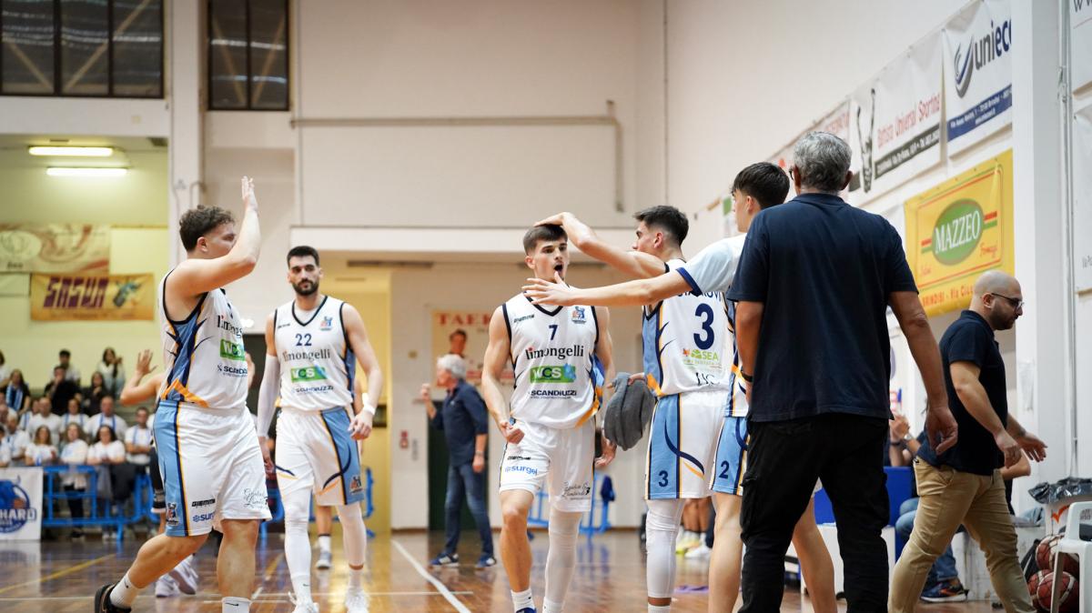Serie B - Dinamo Brindisi: sabato arriva il Bim Bum Basket Rende