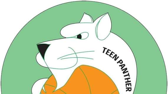 A2 F - Torino Teen Basket rinuncia a partecipare al campionato