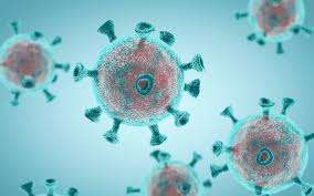 Coronavirus. Bollettino Italia e mondo del 26 maggio: 53 province senza nuovi casi