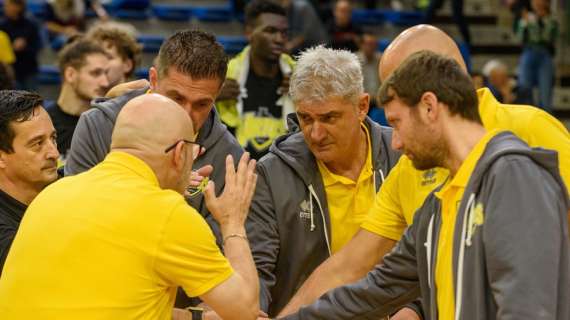 Serie B - La preview di Fiorenzuola Bees - Neupharma Virtus Imola