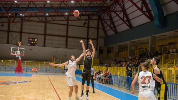 Serie B - Virtus Imola: partita infida contro i retrocessi Tigers