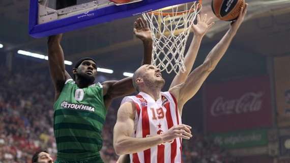 EuroLeague - Straight! Anche il Panathinaikos paga dazio alla Stella Rossa