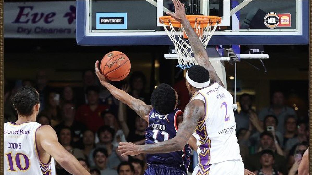 NBL Finals G2 - Bryce Cotton sulla sirena! Adelaide pareggia la serie, scintille con Kendric Davis