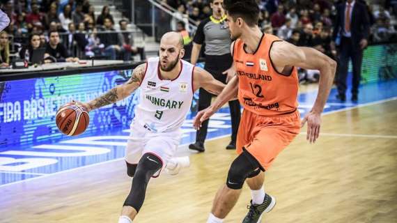 FIBA World Cup 2019 Qualifiers - L'Ungheria vicina a buttar via tutto con l'Olanda