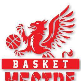 Serie C - Basket Mestre: Addio Bjegovic, benvenuto Custis