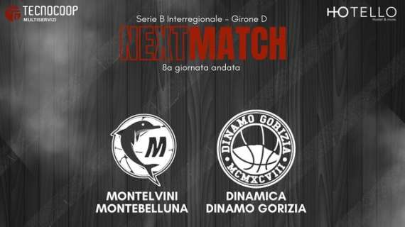 Serie B - Dinamo Gorizia: sabato di scena a Montebelluna