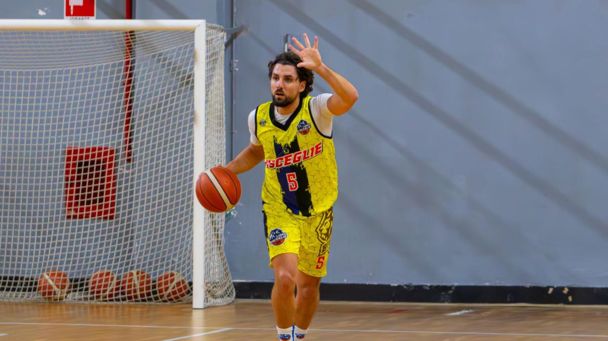 Serie B - Lions Bisceglie in campo sabato, ostacolo Senigallia da superare