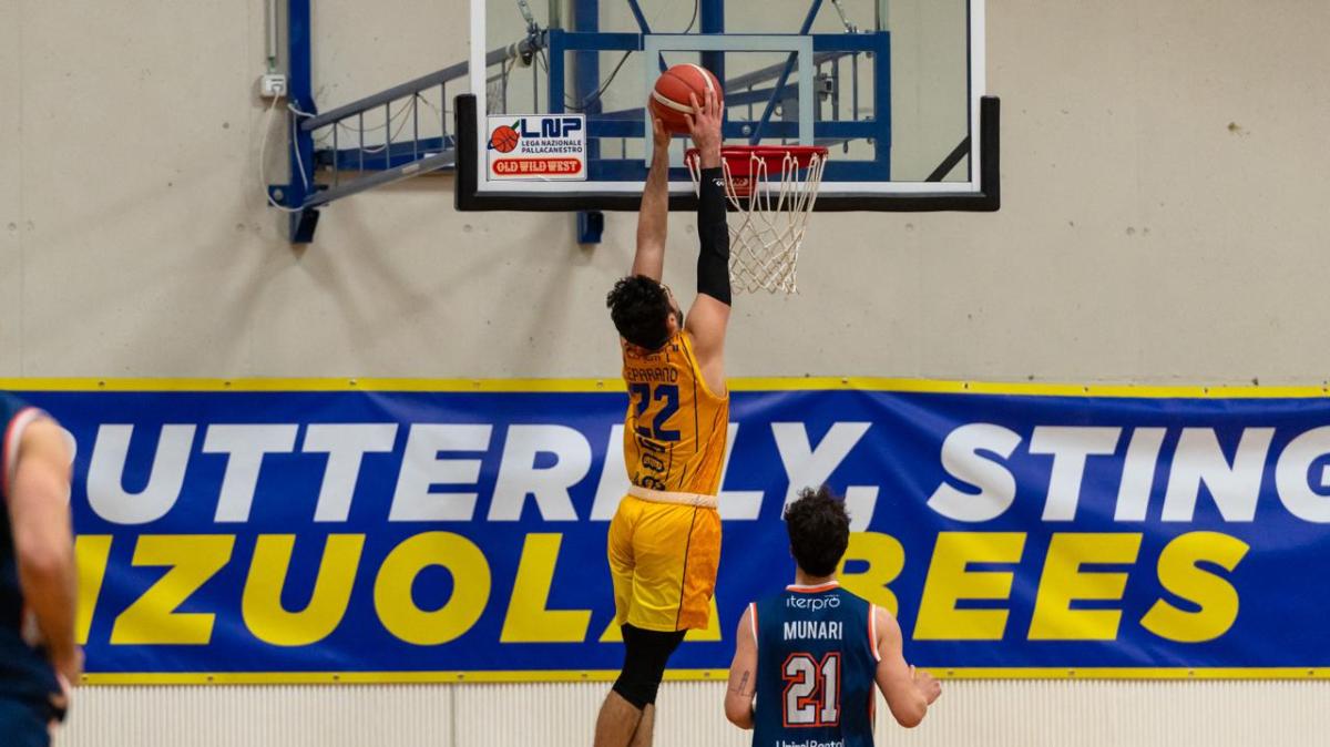 Serie B - Fiorenzuola Bees, subito in campo: mercoledì sera la trasferta a Vicenza