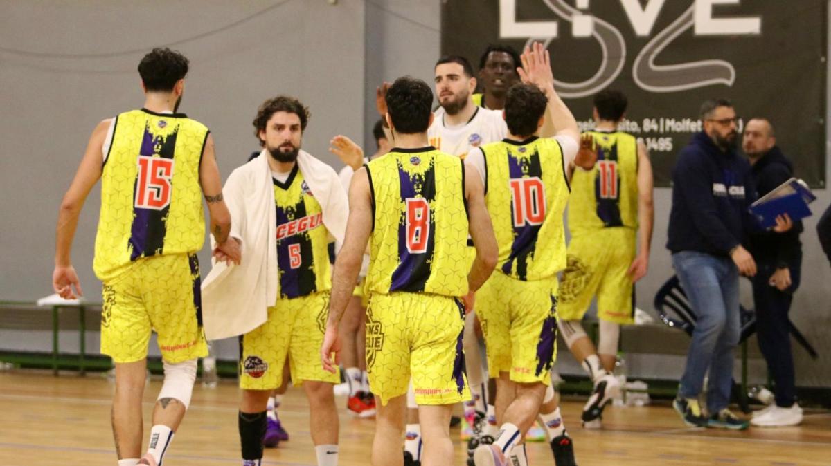 Serie B - Serata stregata al tiro, i Lions Bisceglie cedono contro Jesi