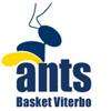 Ants Viterbo sfrutta il turno casalingo contro Costone Apf Siena