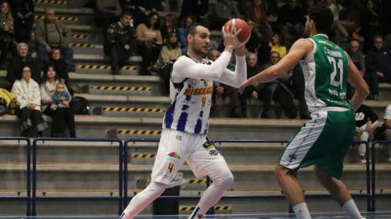 Serie B - Lions Bisceglie contro Molfetta per un posto ai play-in gold