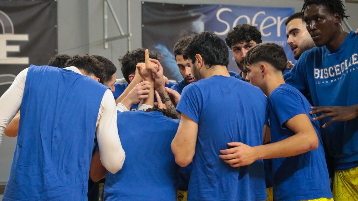 Serie B - I Lions Bisceglie vogliono riscattarsi, chance in trasferta a Recanati 