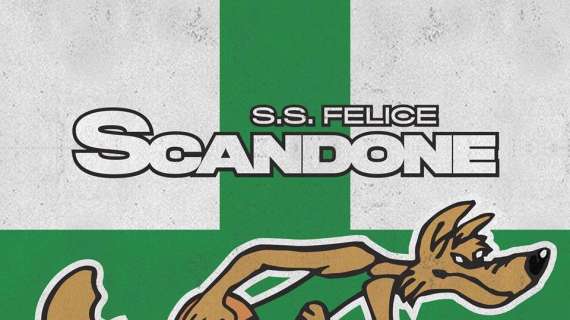 Serie B - Scandone Avellino: problemi per l'avvio
