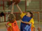Scuola di basket Viola Reggio Calabria, si parte!