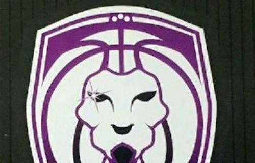 Serie B - Fiorentina, stasera alle 21 in campo al Palaeolo contro Oleggio