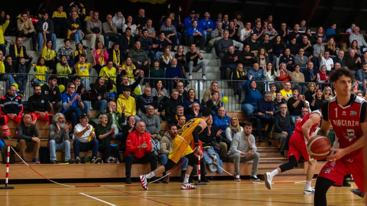 Serie B - Fiorenzuola vs Vigevano: domenica al PalArquato un test di altissimo livello per i Bees