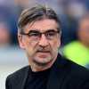 Atalanta, gli exit poll: Juric avanti, Motta resiste. Palladino ora piano C