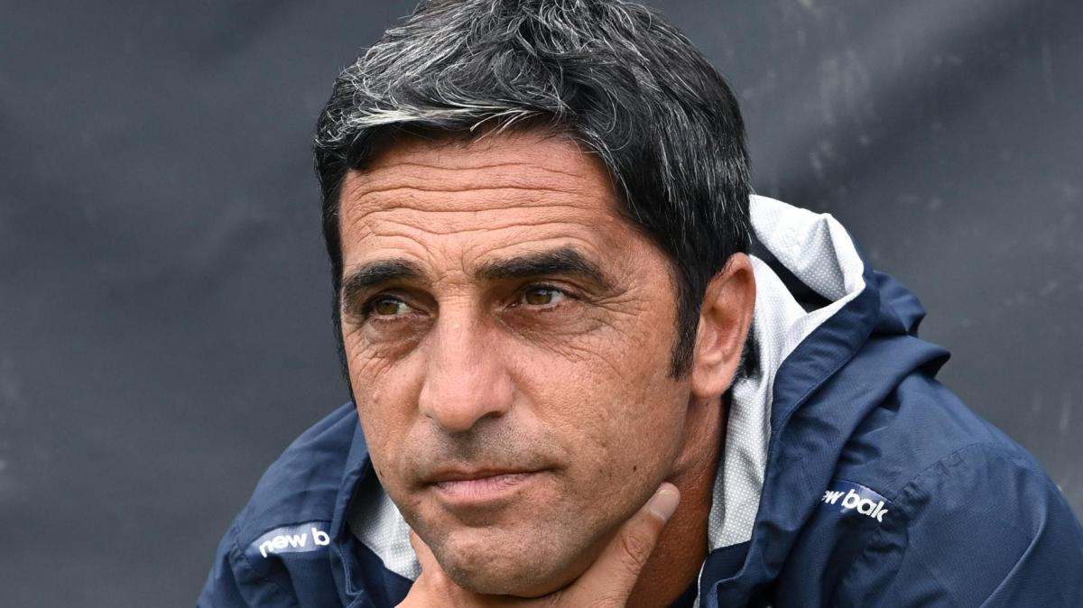 Tony D'Amico