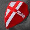 Immagine news 54