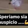 Sampdoria social, Flachi ricorda partita con la Salernitana del 2002