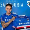 Immagine news News Doria n.1