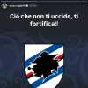 Immagine news News Doria n.7