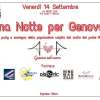 Immagine news 29