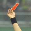 Immagine news 12