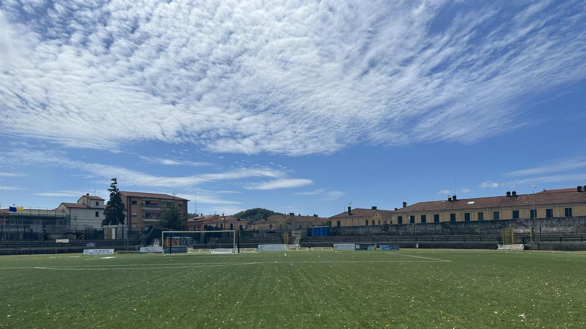 Immagine strip Primo Piano n.1