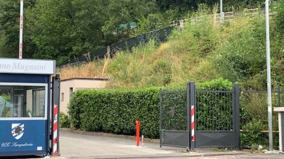 Sampdoria, differenziato per Sibilli. Domani pomeridiano