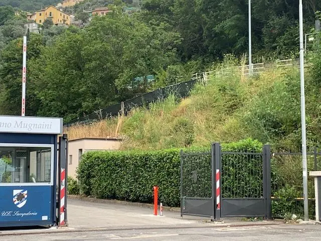 Sampdoria, Fredberg: "Non vediamo l'ora di assistere alla crescita di Begic nei prossimi anni"