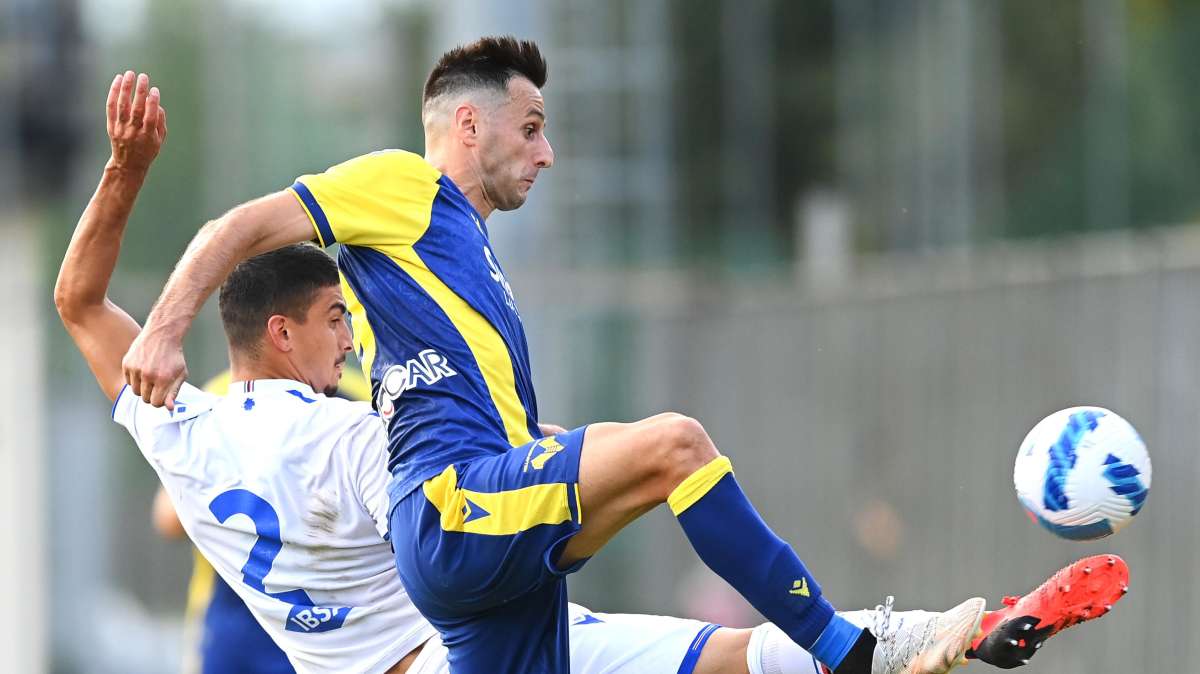 Hellas Verona, l'arrivo di Doig allontana il ritorno di Depaoli