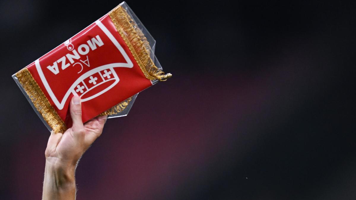 Immagine strip Primo Piano n.3