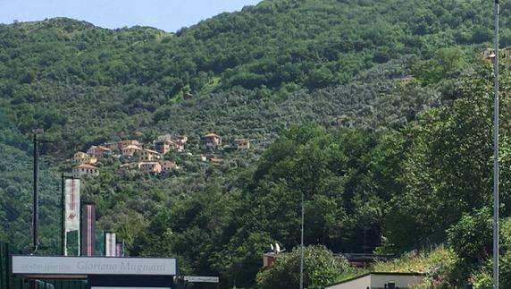 Sampdoria, martedì la ripresa in vista del Cosenza