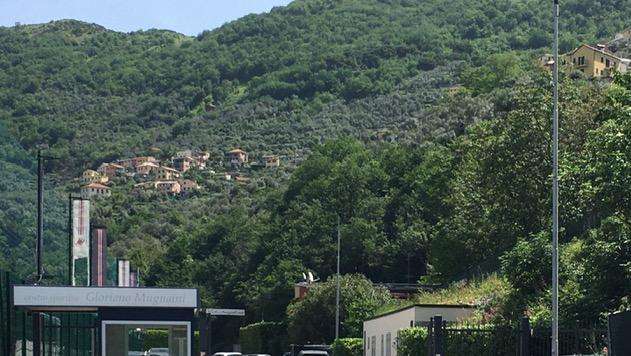 Sampdoria, tattica e palle inattive. Domani rifinitura e conferenza