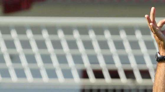 Bologna e Samp senza squalificati