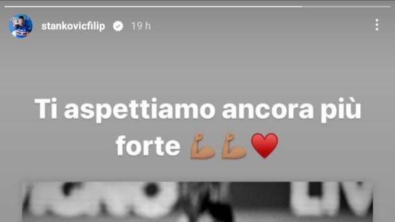 Social Sampdoria, Stankovic incoraggia Borini: "Ti aspettiamo ancora più forte"