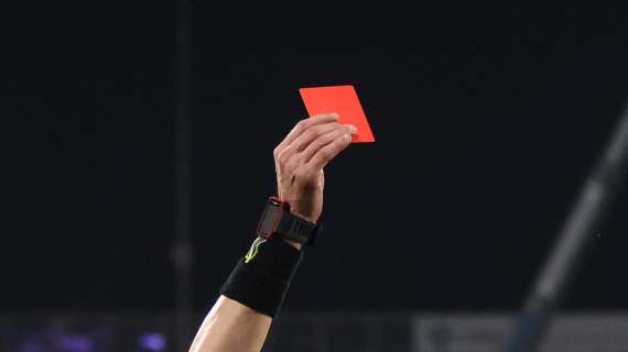 Giudice Sportivo dopo Sampdoria - Salernitana: una giornata di stop a Borini, tre a Stojanovic