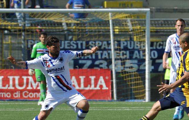 Foggia: "Andiamo a Varese per cercare di arrivare più in alto possibile"