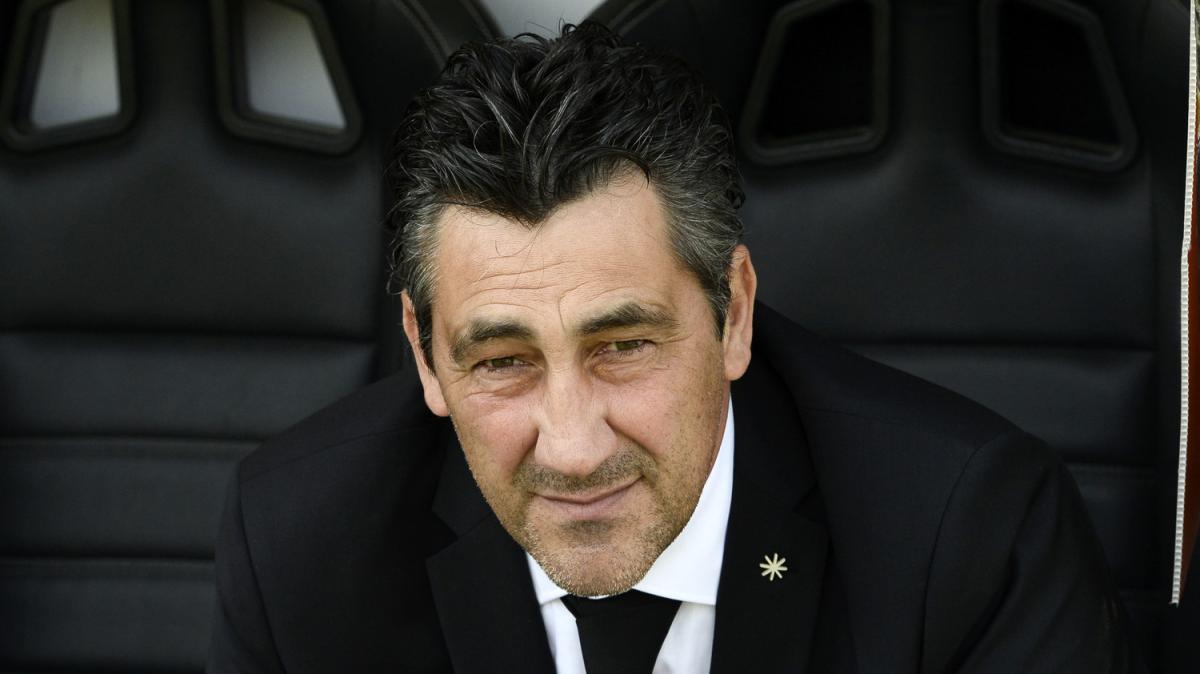 Aglietti: "La Sampdoria ha fatto un filotto importante, finale di stagione più tranquillo"