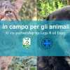 Lega B con Enpa: in campo per gli animali. La nuova iniziativa