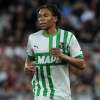 SN - Laurienté: "Sassuolo ha creduto in me. Punizioni, Dionisi, futuro: dico tutto"