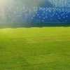Agronomo Serie A: "Al Mapei Stadium il rifacimento totale del terreno di gioco, non è l'unico"