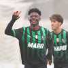 VIDEO - Sassuolo Fiorentina Primavera highlights 2-0: Minta-Leone per la vetta