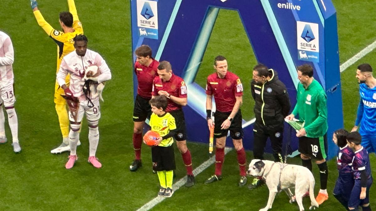Sassuolo-Torino, squadre in campo all'inizio con due cani: il motivo